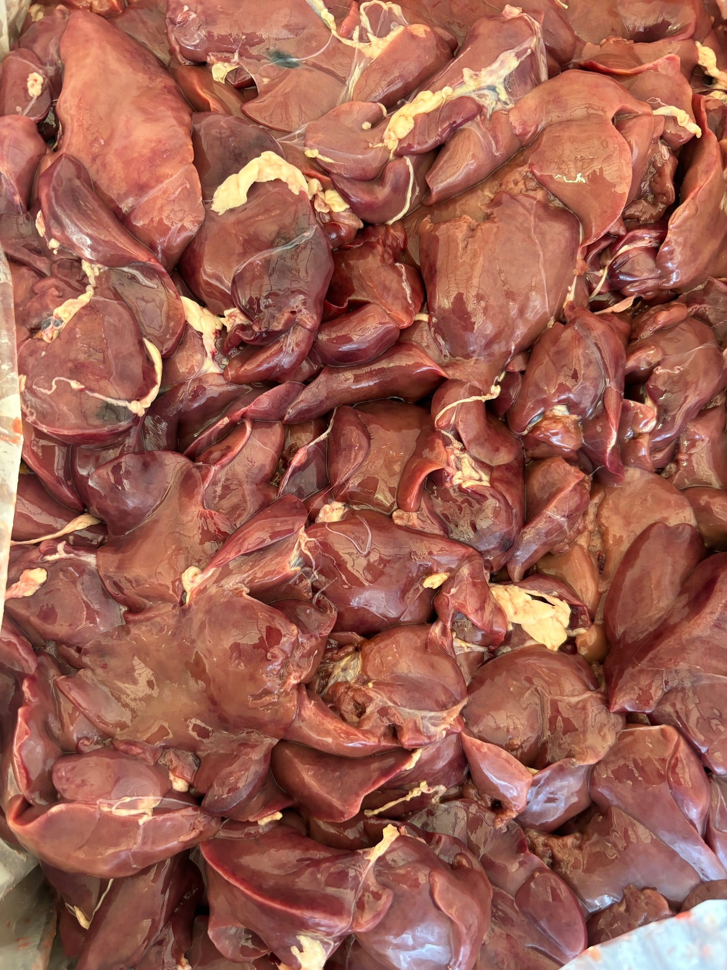ตับไก่สด - 1 KG